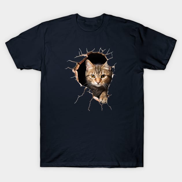 What a cat!? (just an expression) T-Shirt by Cavaleyn Designs